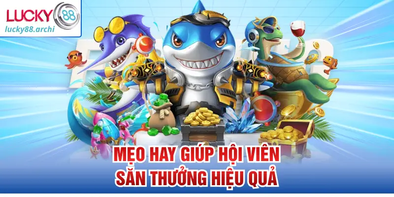 Mẹo hay giúp hội viên săn thưởng hiệu quả