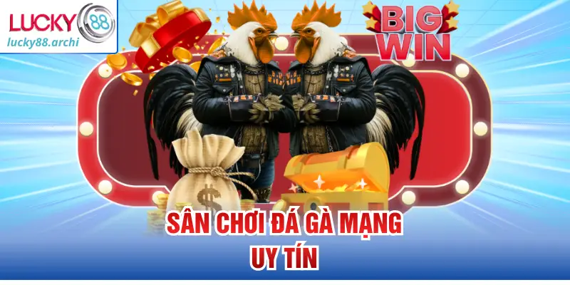 Sân chơi đá gà mạng uy tín